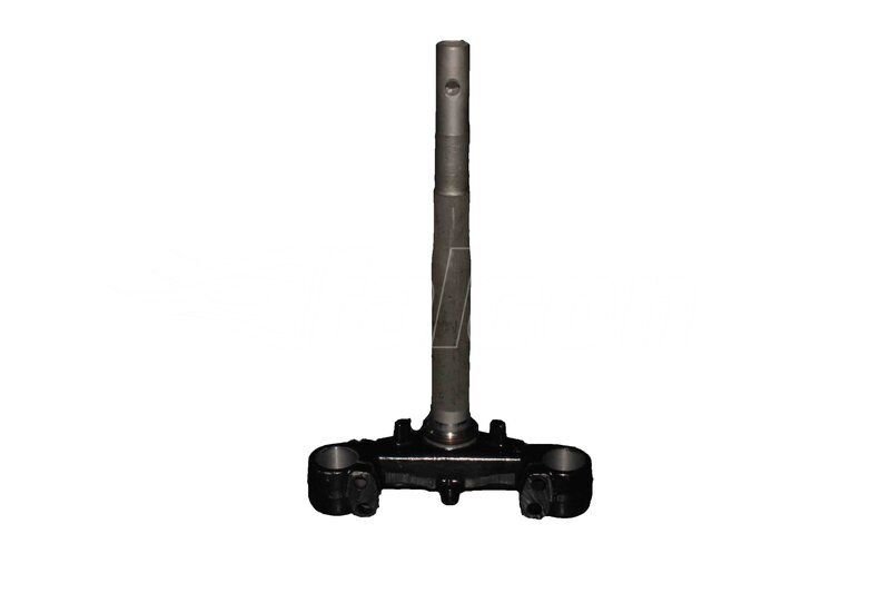 PLATİN (ÖN MAŞA)-DOLPHIN 2020