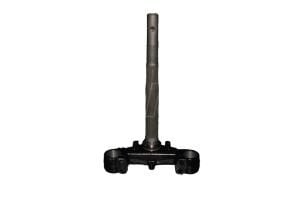 PLATİN (ÖN MAŞA)-DOLPHIN 2020