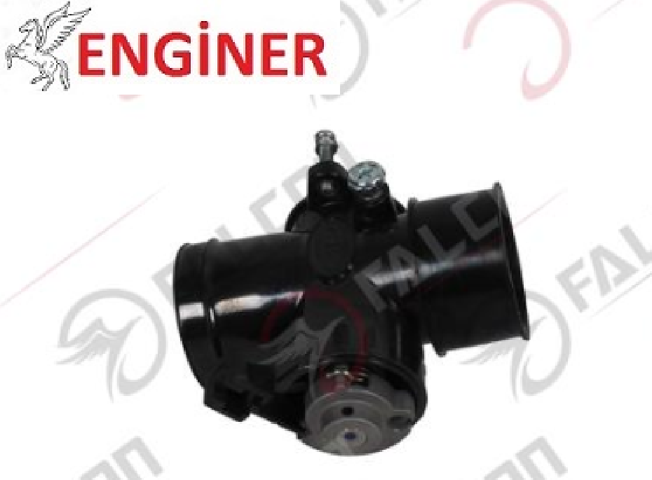 GAZ KELEBEĞİ VE BEYİN-DOLPHIN 100 EFİ