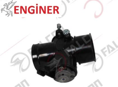 GAZ KELEBEĞİ VE BEYİN-DOLPHIN 100 EFİ