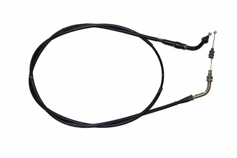 GAZ TELİ-DOLPHIN 2020