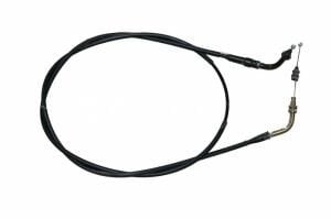 GAZ TELİ-DOLPHIN 2020