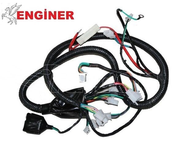 ELEKTRİK TESİSATI-DOLPHIN 2020