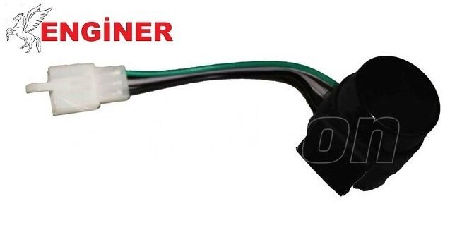 FLAŞÖR-DOLPHIN 2020