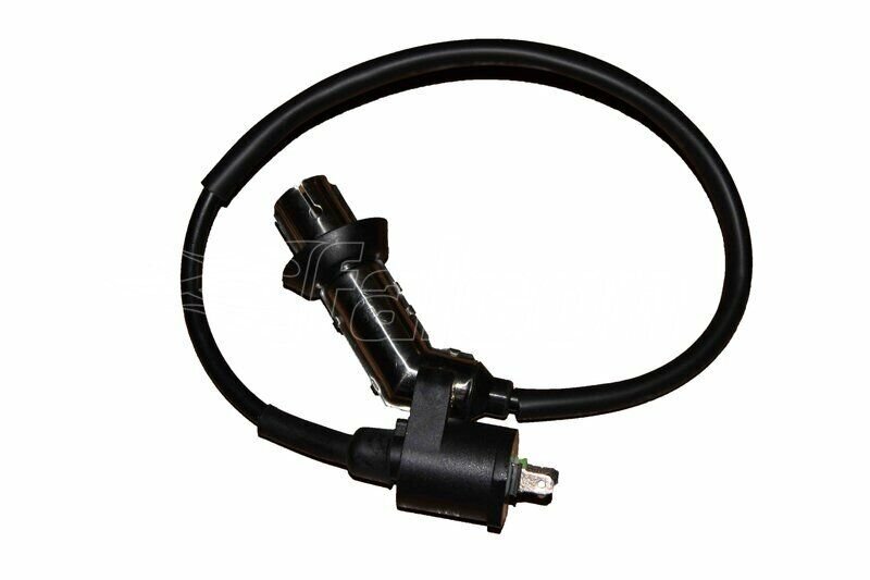 ATEŞLEME BOBİNİ-DOLPHIN 2020