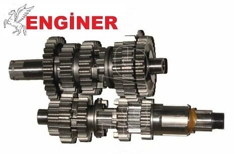 ŞANZIMAN KOMPLE-SHARK 188