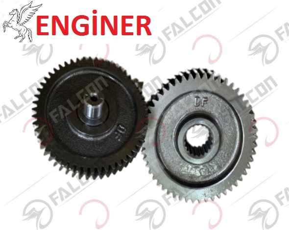 ŞANZIMAN DİŞLİ-TURTLE