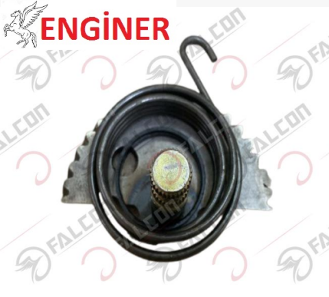 AVARE DİŞLİ KARŞILIĞI (YARIM AY)-TURTLE