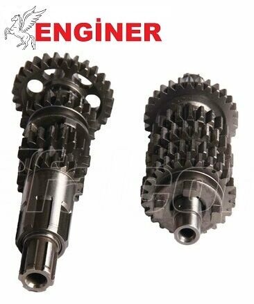 ŞANZIMAN KOMPLE-FREEDOM 250