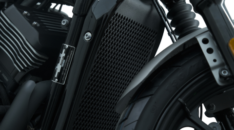 TOGO S800  CRUISER CHOPPER