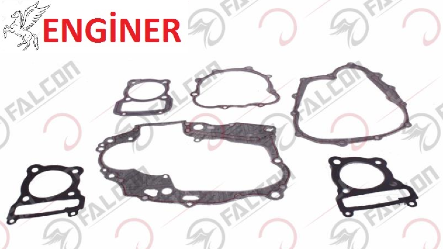 CONTA TAKIMI-MEXİCO