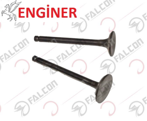 EMME EGZOZ SİBOBU TAKIM-SPACY 110