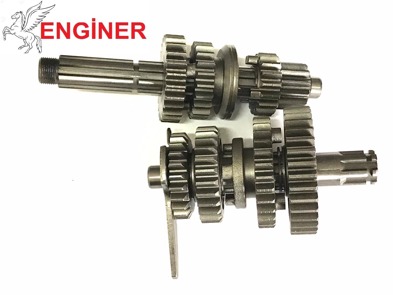 ŞANZIMAN KOMPLE TAY100 (MONERO)