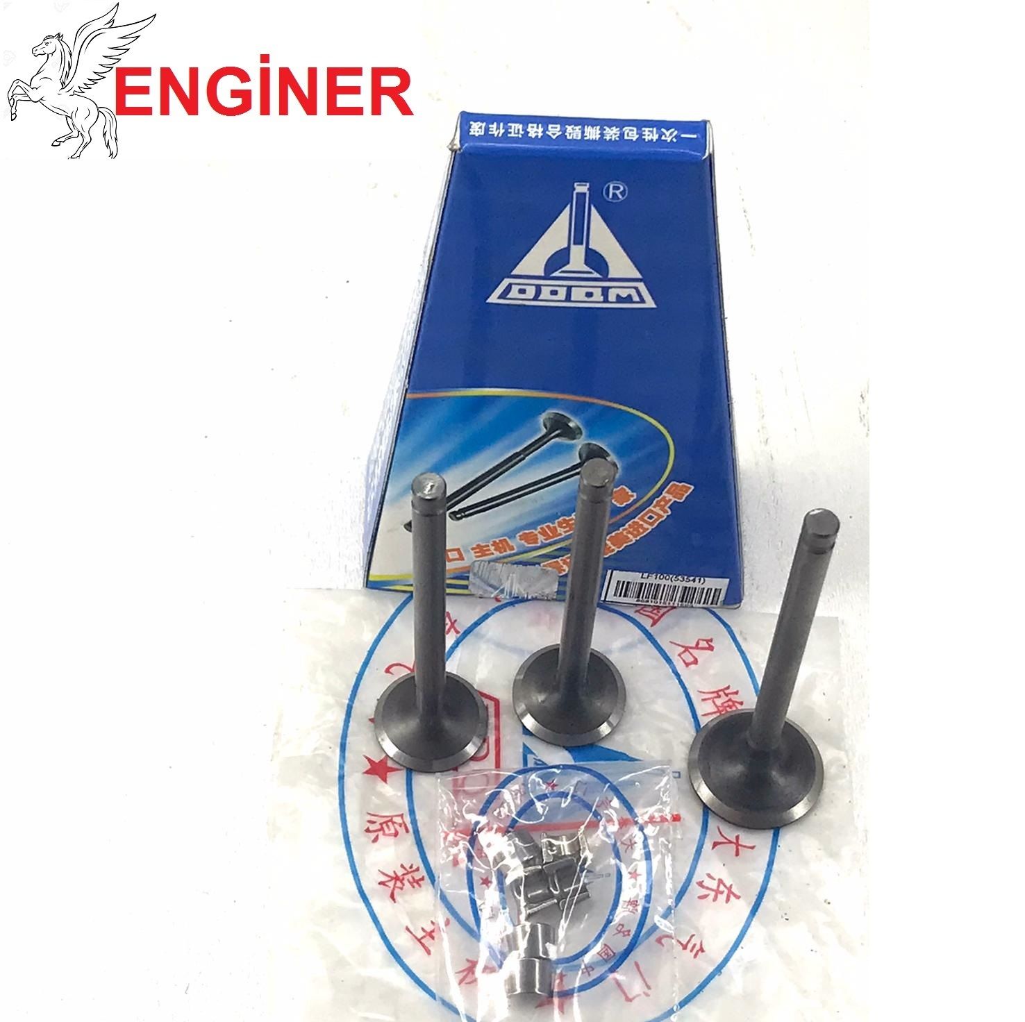 EKSOZ EMME SUBAP LİFAN TAY100 DADONG