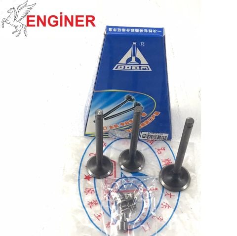 EKSOZ EMME SUBAP LİFAN TAY100 DADONG
